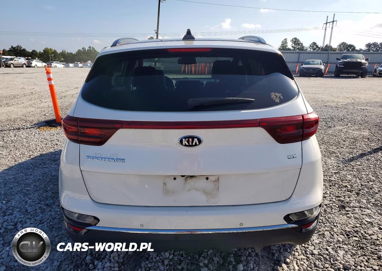 2022 Kia Sportage Ex VIN:KNDPN3AC1N7950845 - 6