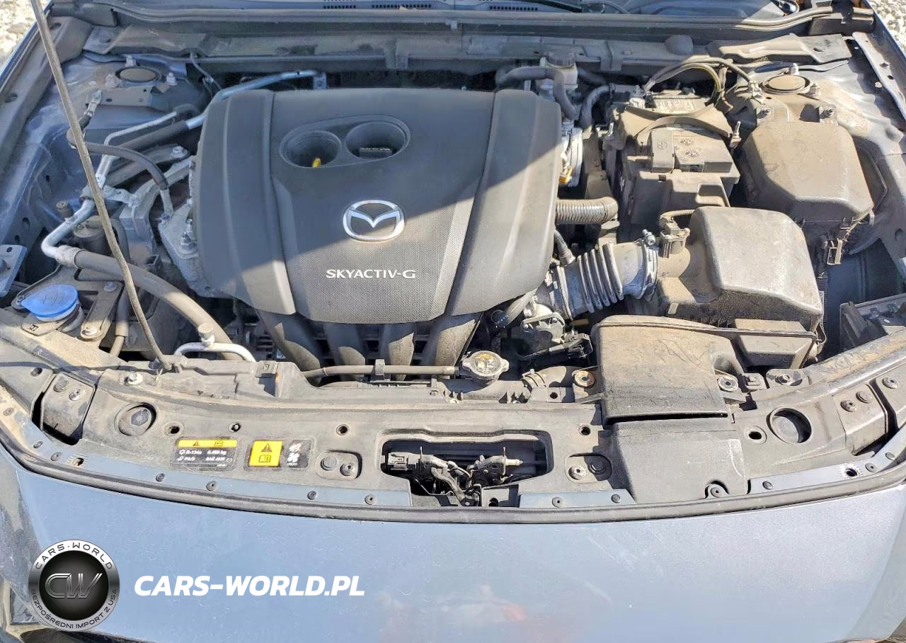 2019 Mazda 3 Premium VIN:JM1BPANM3K1143916 - 11