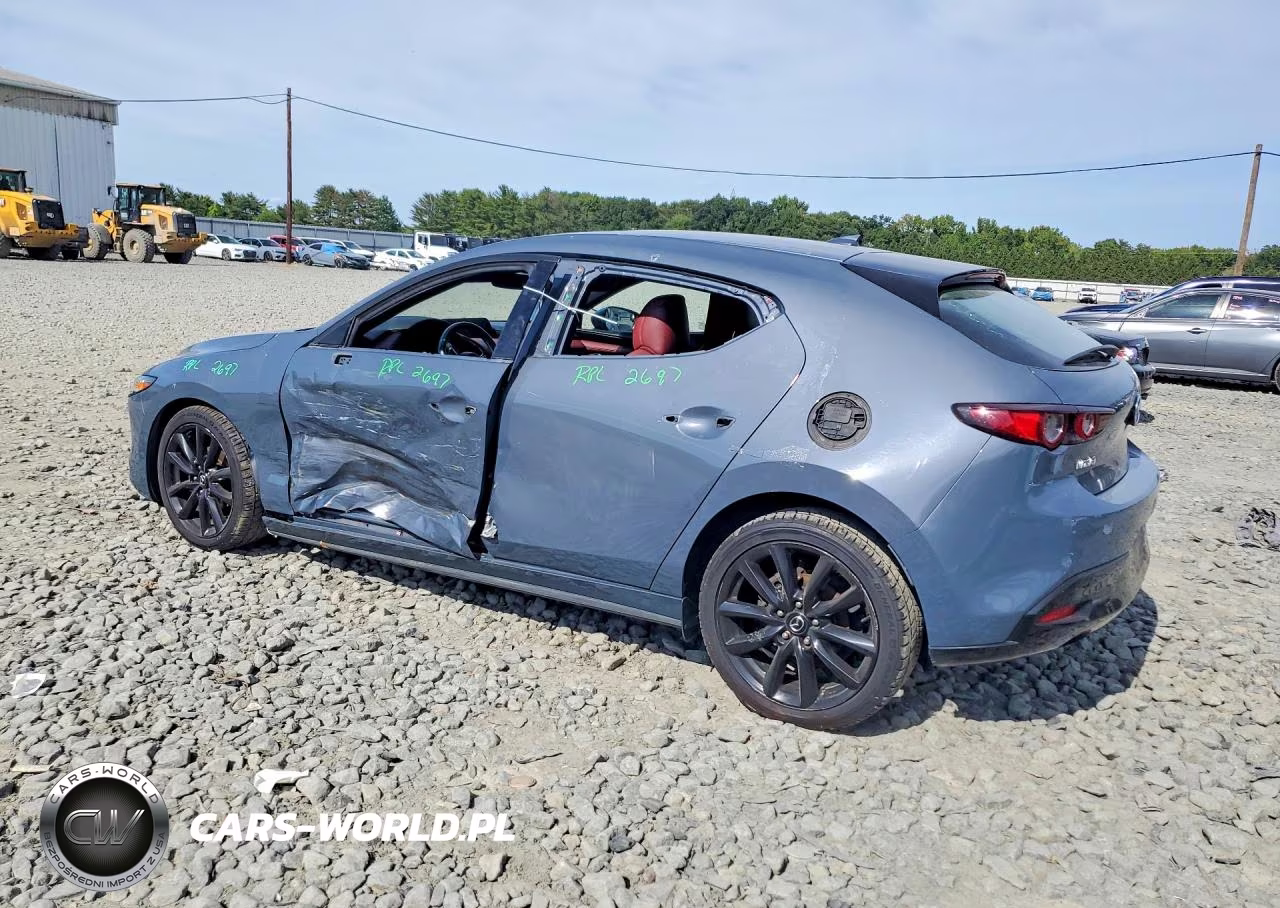 2019 Mazda 3 Premium VIN:JM1BPANM3K1143916 - 2