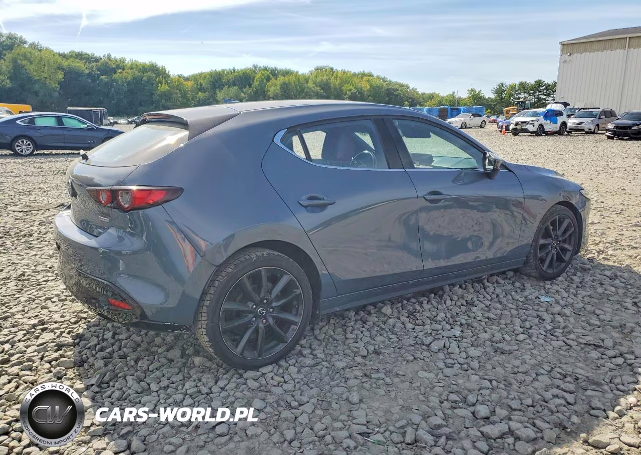 2019 Mazda 3 Premium VIN:JM1BPANM3K1143916 - 3
