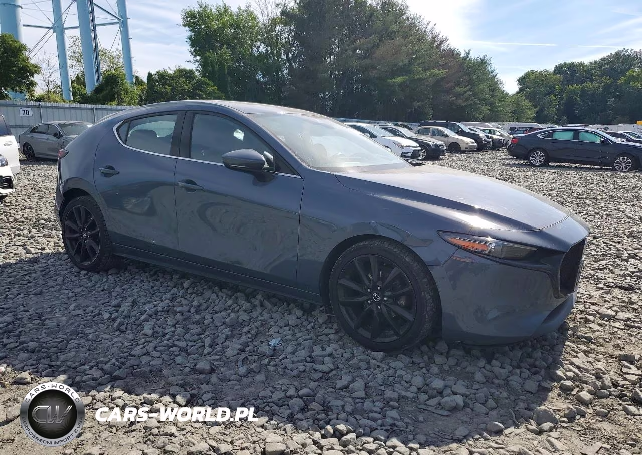 2019 Mazda 3 Premium VIN:JM1BPANM3K1143916 - 4
