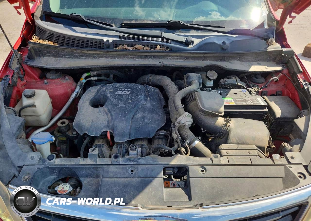 2014 Kia Sportage Sx VIN:KNDPC3A66E7587832 - 12