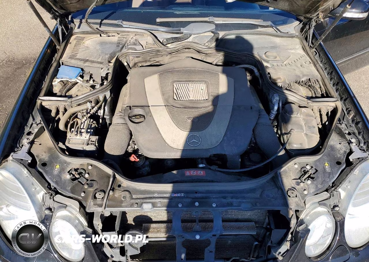 2009 Mercedes-Benz E 350 4Matic VIN:WDBUF87X49B413279 - 11