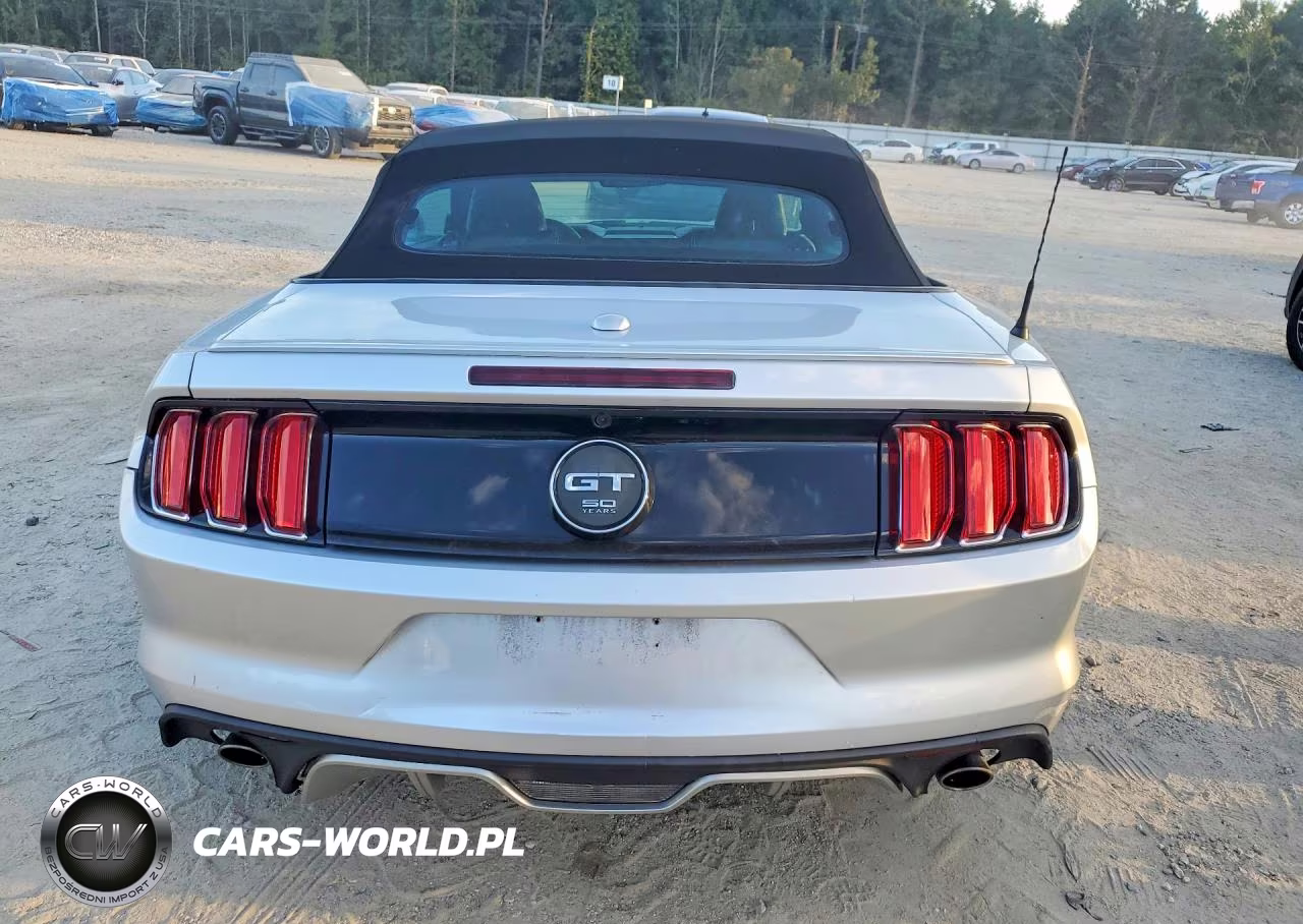 2015 Ford Mustang Gt VIN:1FATP8FF3F5361808 - 6