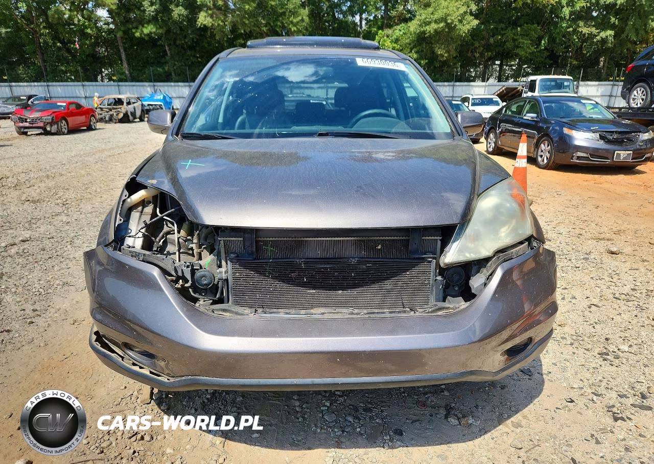 2010 Honda Cr-V Exl VIN:5J6RE3H74AL015638 - 5