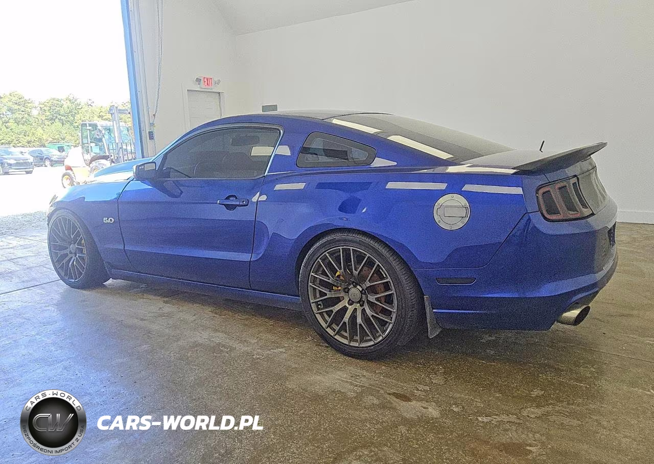 2013 Ford Mustang Gt VIN:1ZVBP8CF9D5268781 - 2