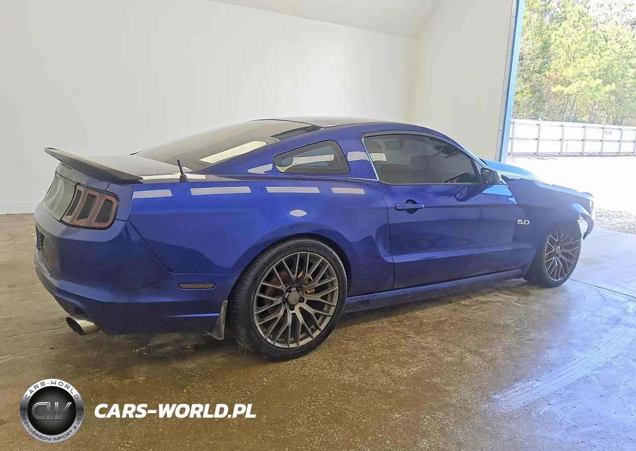 2013 Ford Mustang Gt VIN:1ZVBP8CF9D5268781 - 3