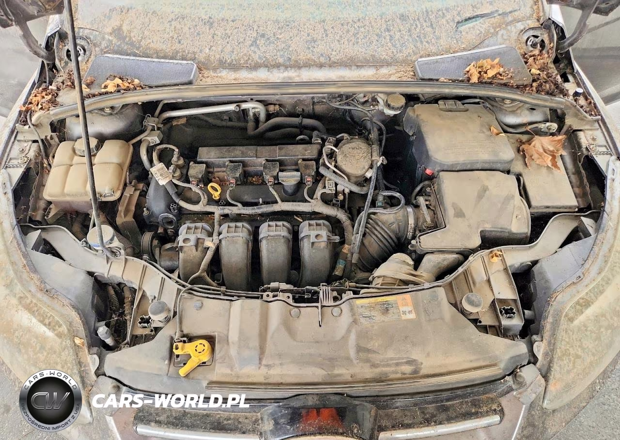 2013 Ford Focus Se VIN:1FADP3K28DL164250 - 11