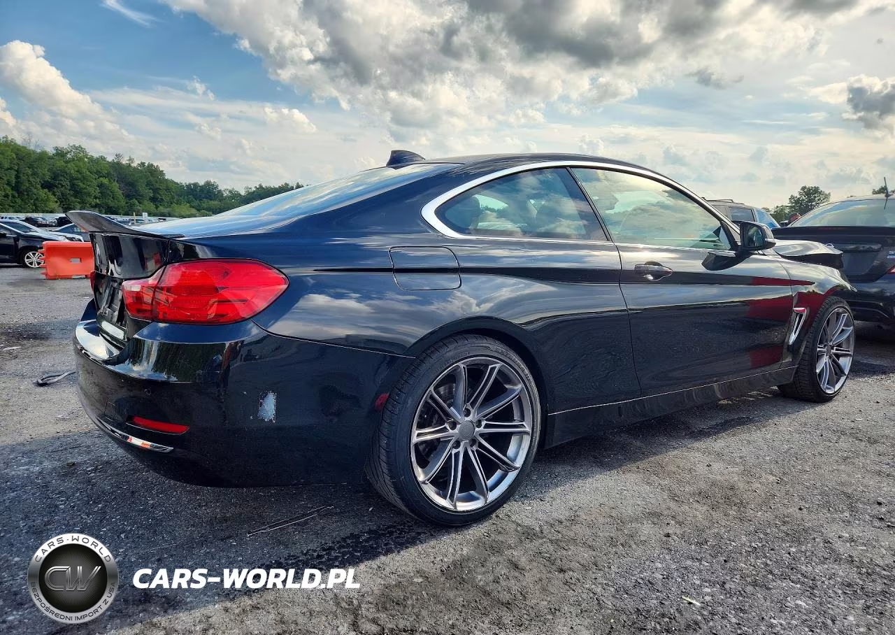 2014 BMW 428 Xi VIN:WBA3N9C51EF720550 - 3
