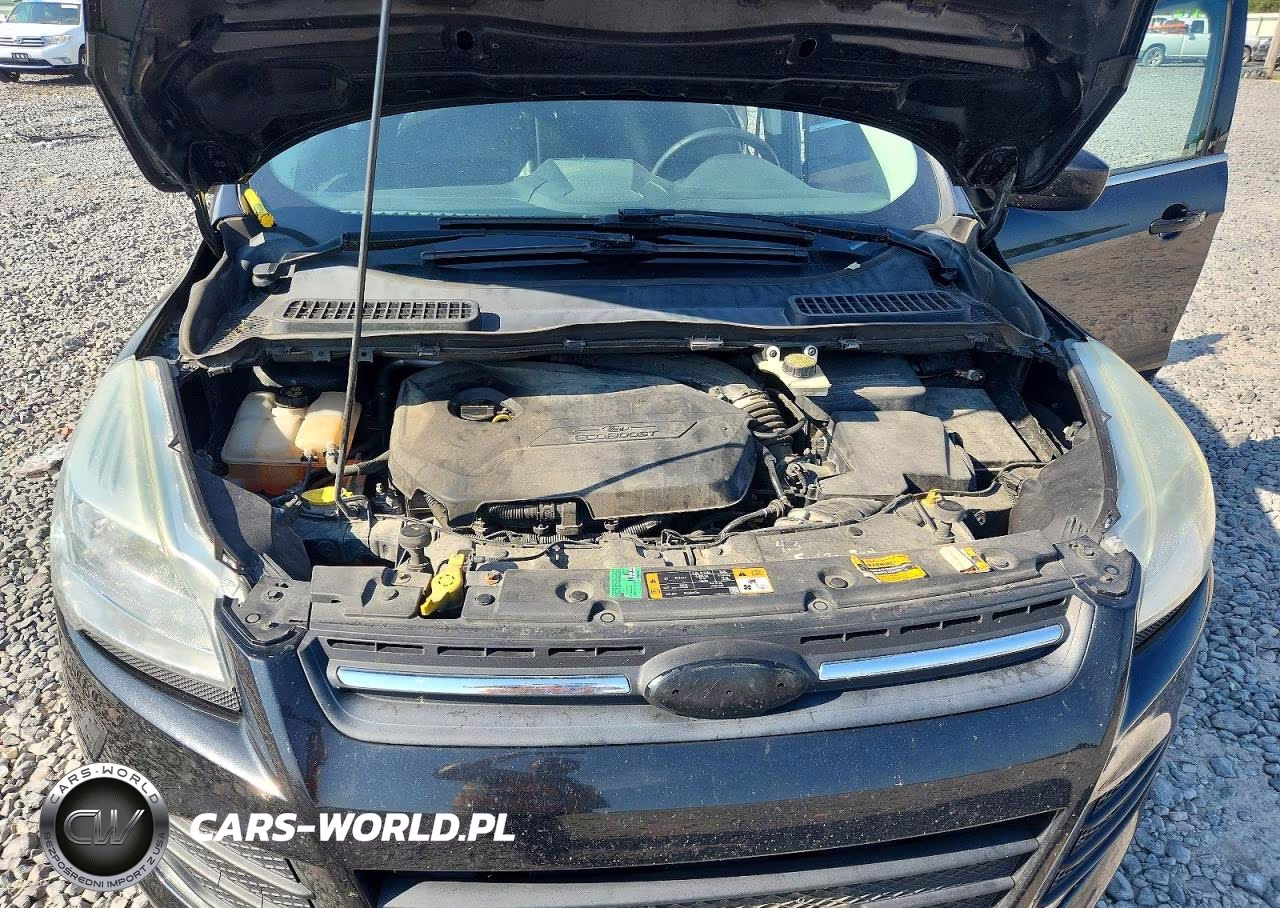 2014 Ford Escape Se VIN:1FMCU0GX9EUD78687 - 11