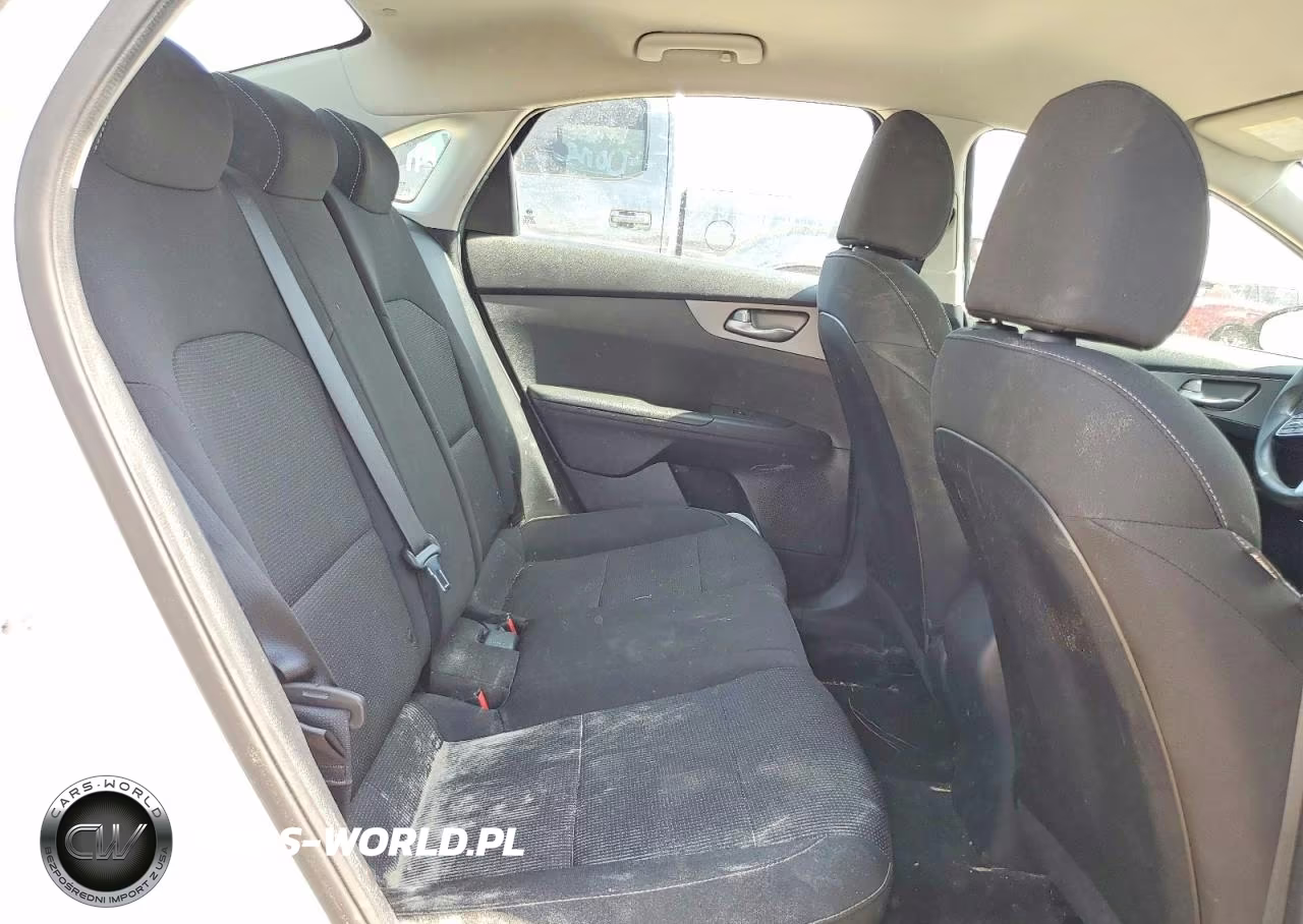 2019 Kia Forte Lxs VIN:3KPF24AD4KE076991 - 10