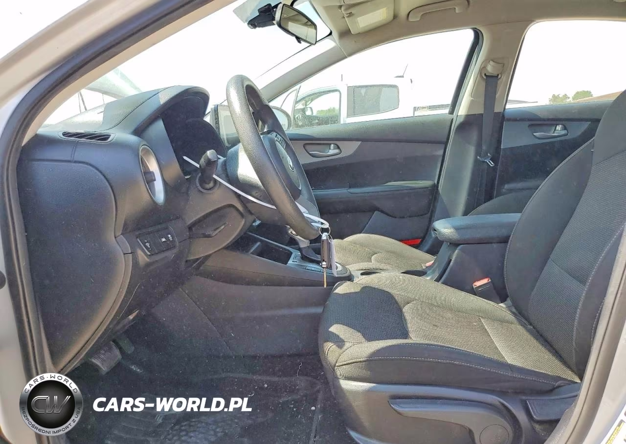 2019 Kia Forte Lxs VIN:3KPF24AD4KE076991 - 7