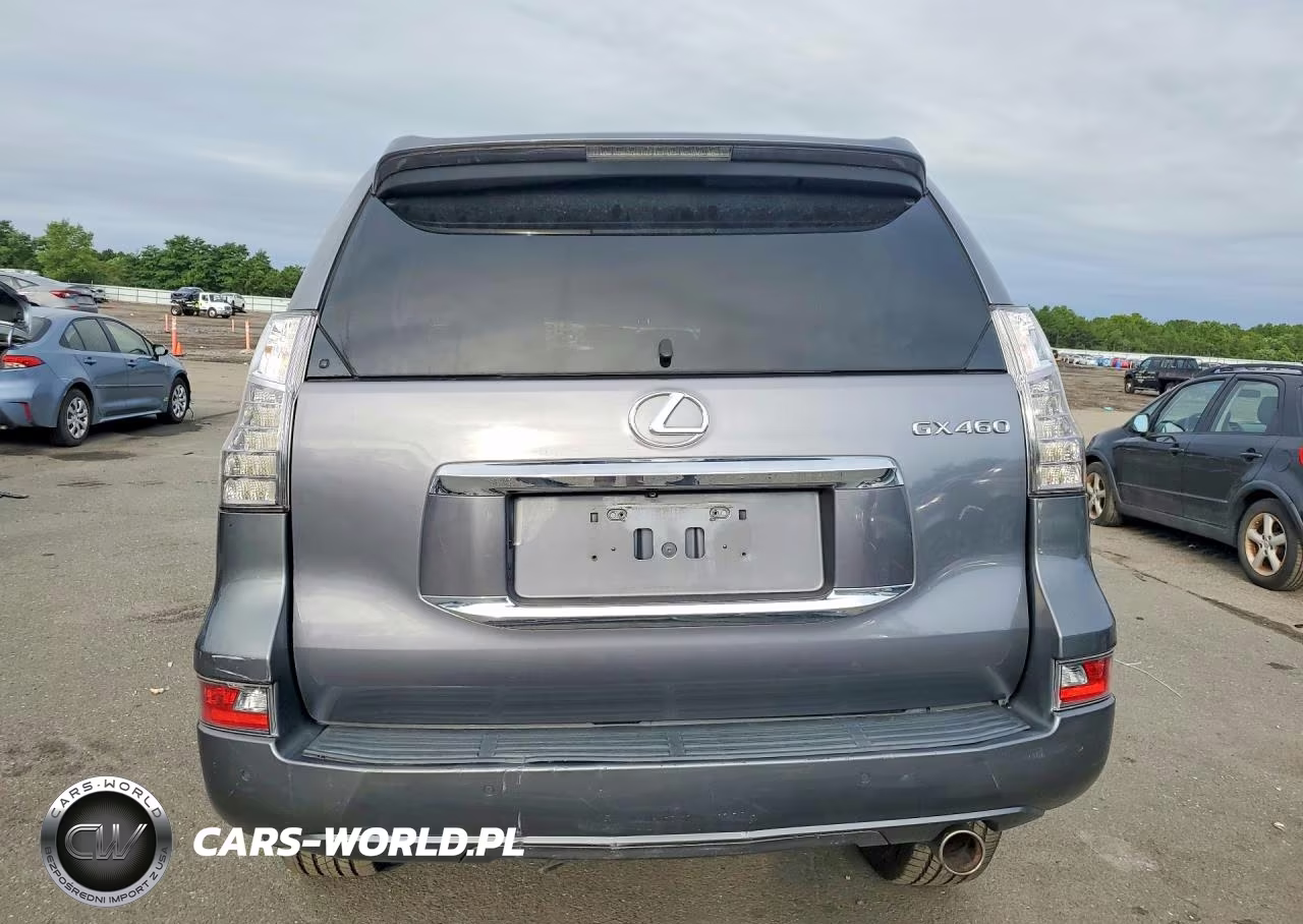 2018 Lexus Gx 460 VIN:JTJBM7FX8J5206520 - 6