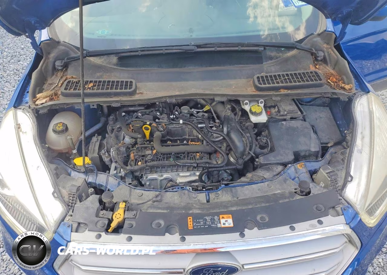 2019 Ford Escape Sel VIN:1FMCU9HD5KUA69836 - 12