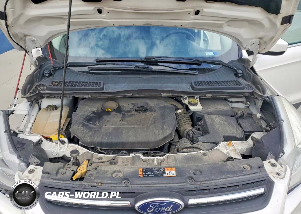 2014 Ford Escape Se VIN:1FMCU9G99EUC55218 - 12