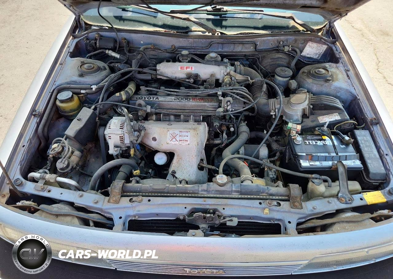 1989 Toyota Camry Deluxe VIN:JT2SV21E3K3339734 - 11