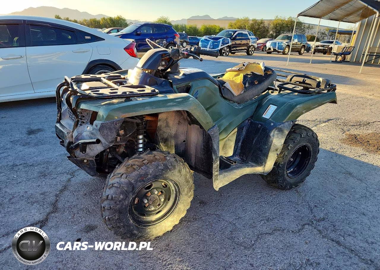 2019 Honda Trx420 Tm VIN:1HFTE3937K4503040 - 2