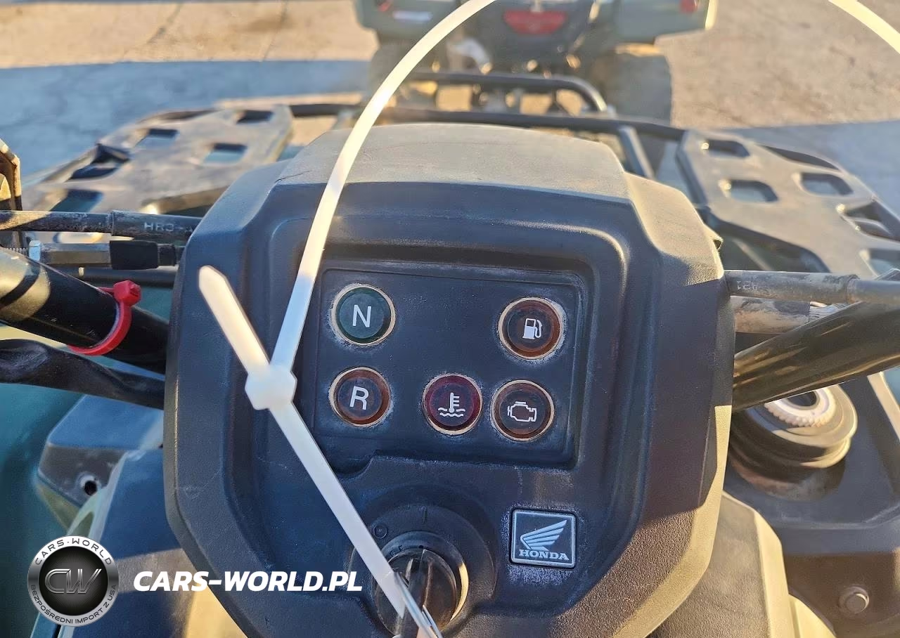 2019 Honda Trx420 Tm VIN:1HFTE3937K4503040 - 8