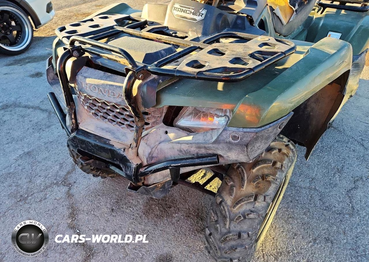 2019 Honda Trx420 Tm VIN:1HFTE3937K4503040 - 9