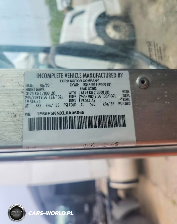 2020 Ford F59 Delivery Truck VIN:1F65F5KNXL0A06065 - 12