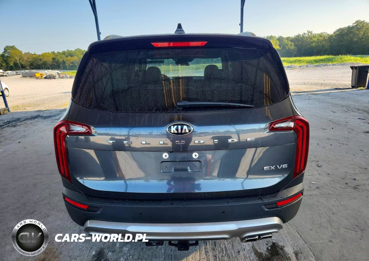 2021 Kia Telluride Ex VIN:5XYP34HC2MG125206 - 6