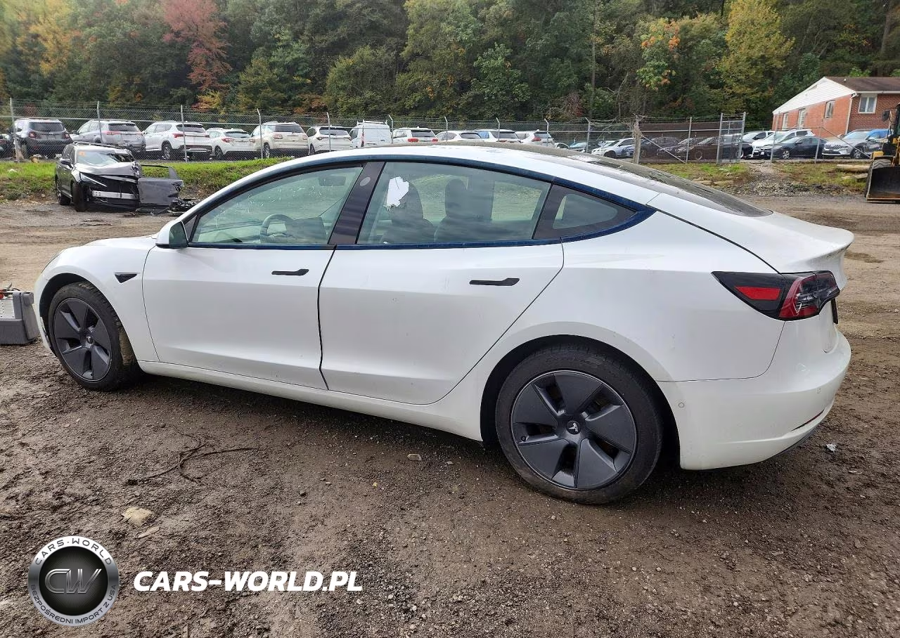 2021 Tesla Model 3 VIN:5YJ3E1EA2MF047057 - 2