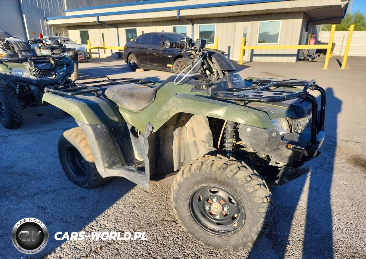 2019 Honda Trx420 Tm – zdjęcie 1 z 10