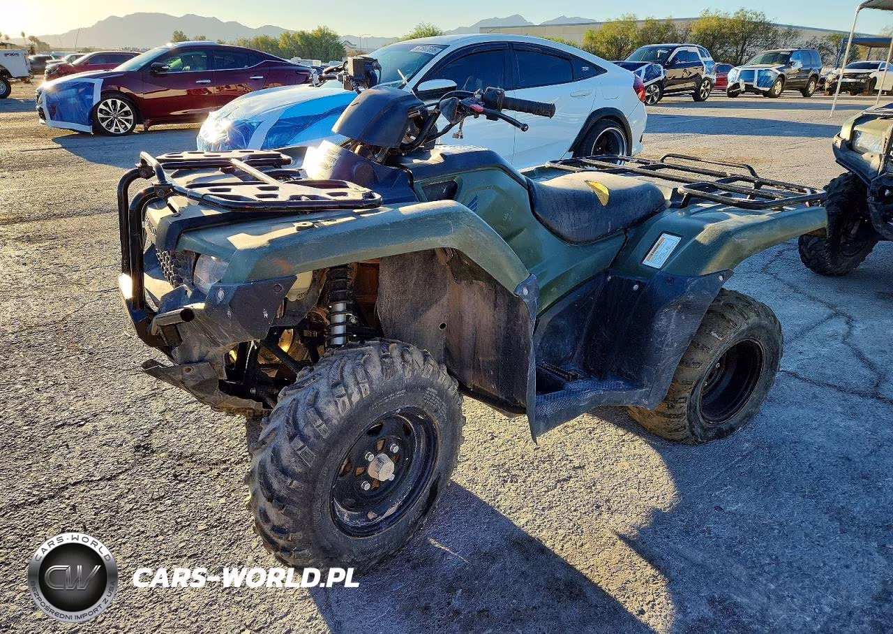 2019 Honda Trx420 Tm VIN:1HFTE3935K4503425 - 2