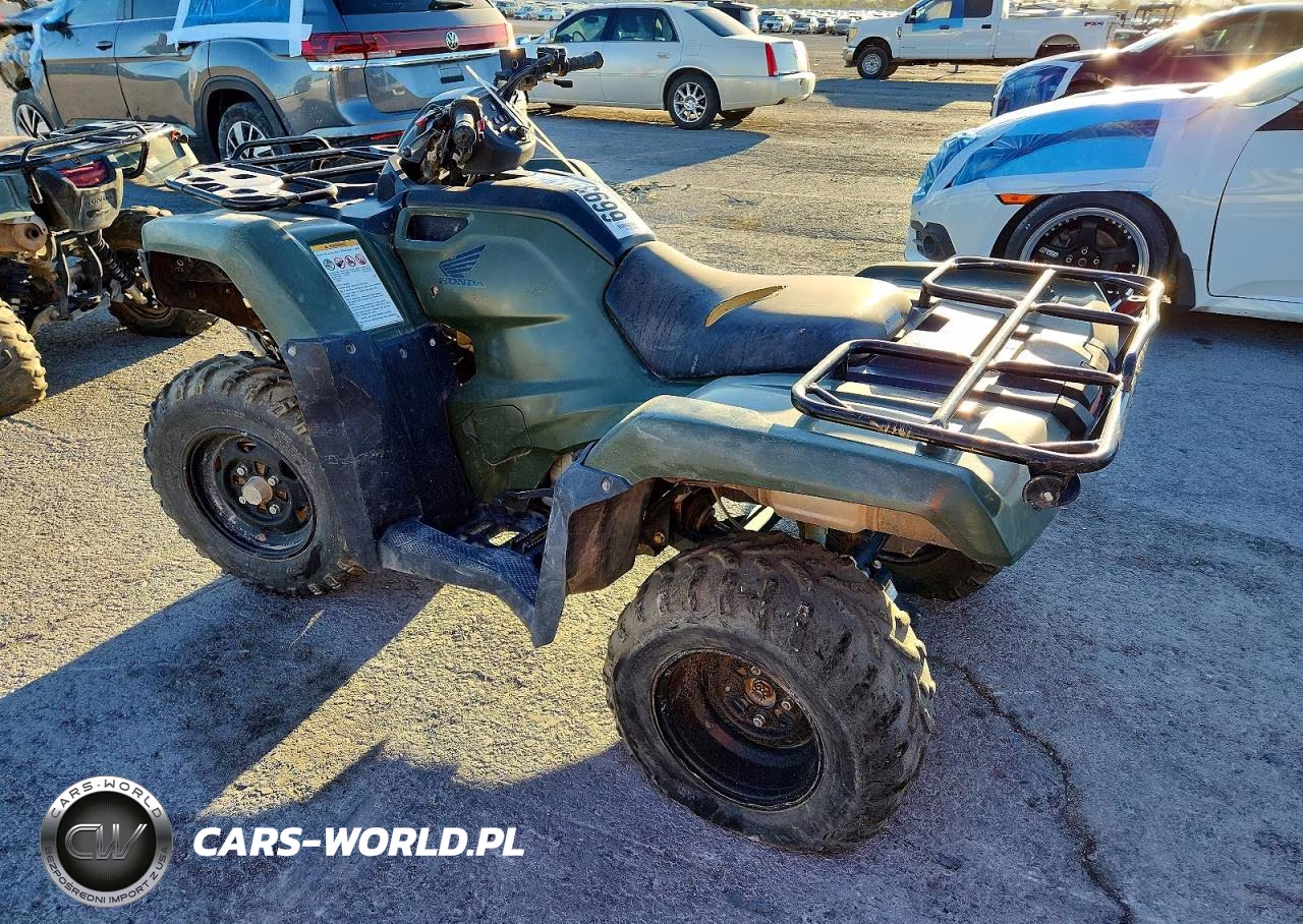 2019 Honda Trx420 Tm VIN:1HFTE3935K4503425 - 3