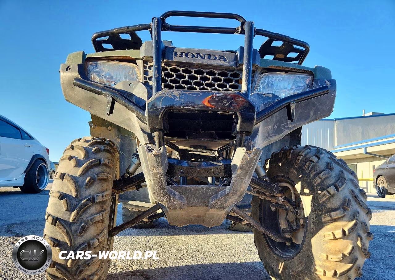 2019 Honda Trx420 Tm VIN:1HFTE3935K4503425 - 9