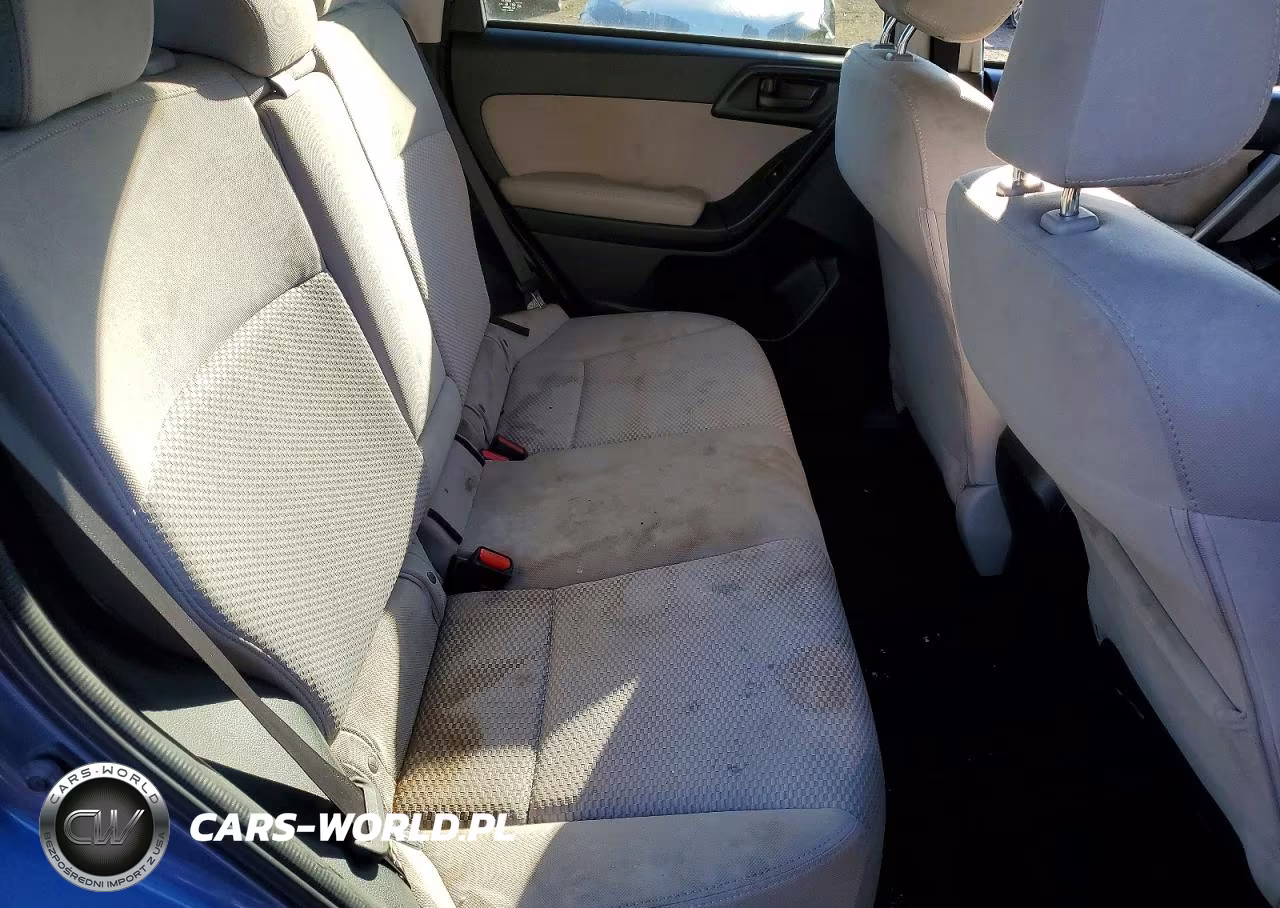 2016 Subaru Forester 2.5I Premium VIN:JF2SJAFC5GH519409 - 10