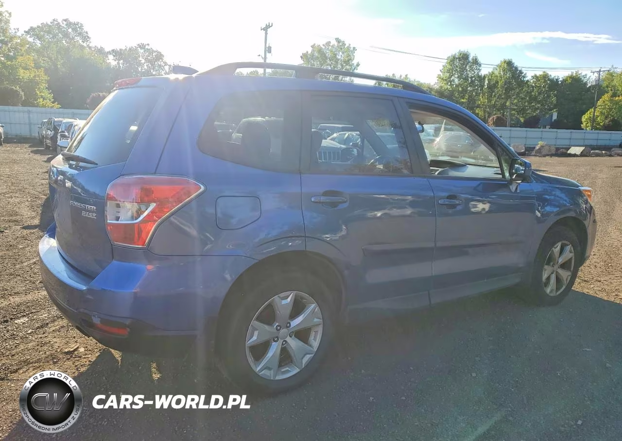 2016 Subaru Forester 2.5I Premium VIN:JF2SJAFC5GH519409 - 3