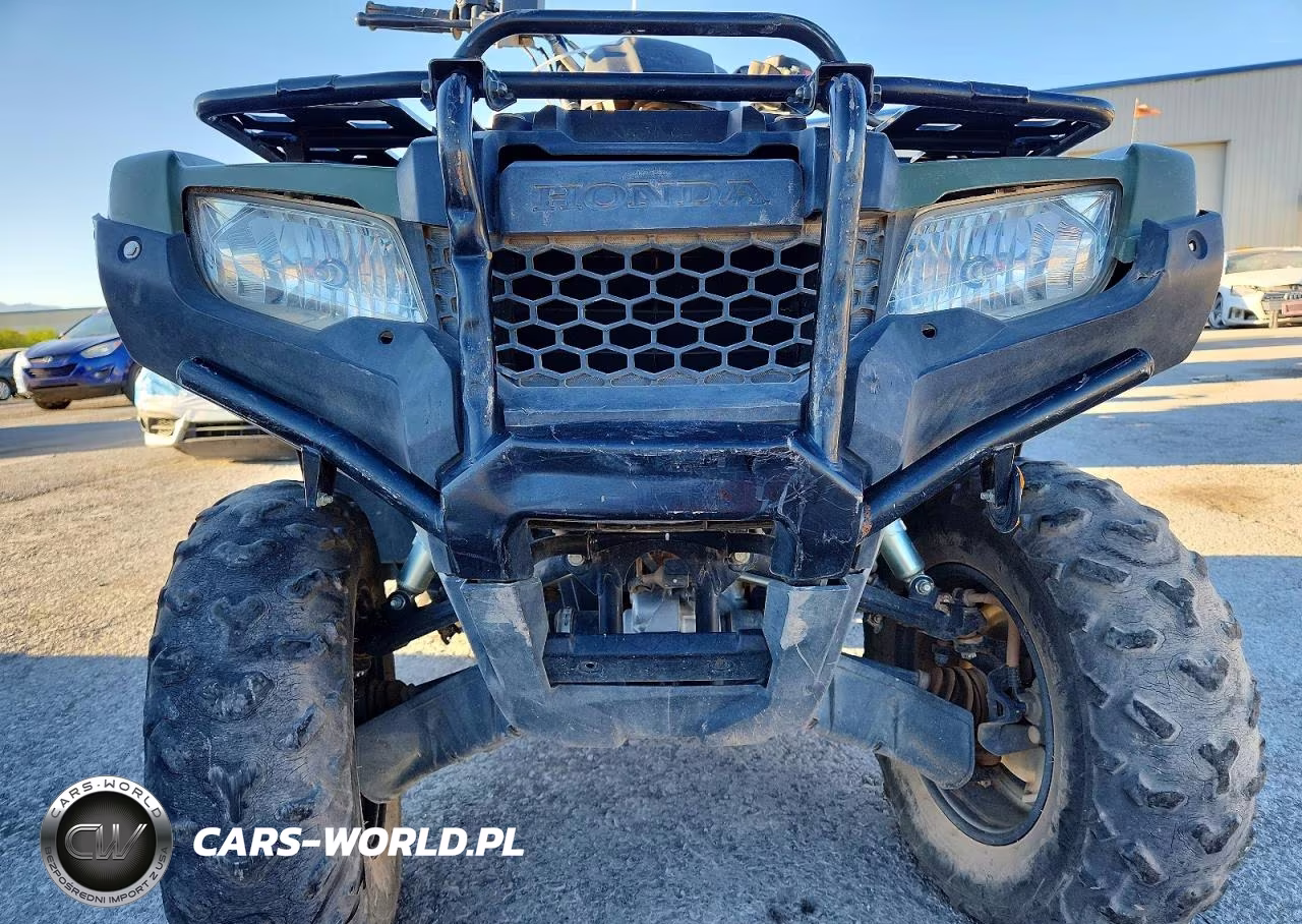 2021 Hond Trx420 Fa VIN:1HFTE4704M4600004 - 9
