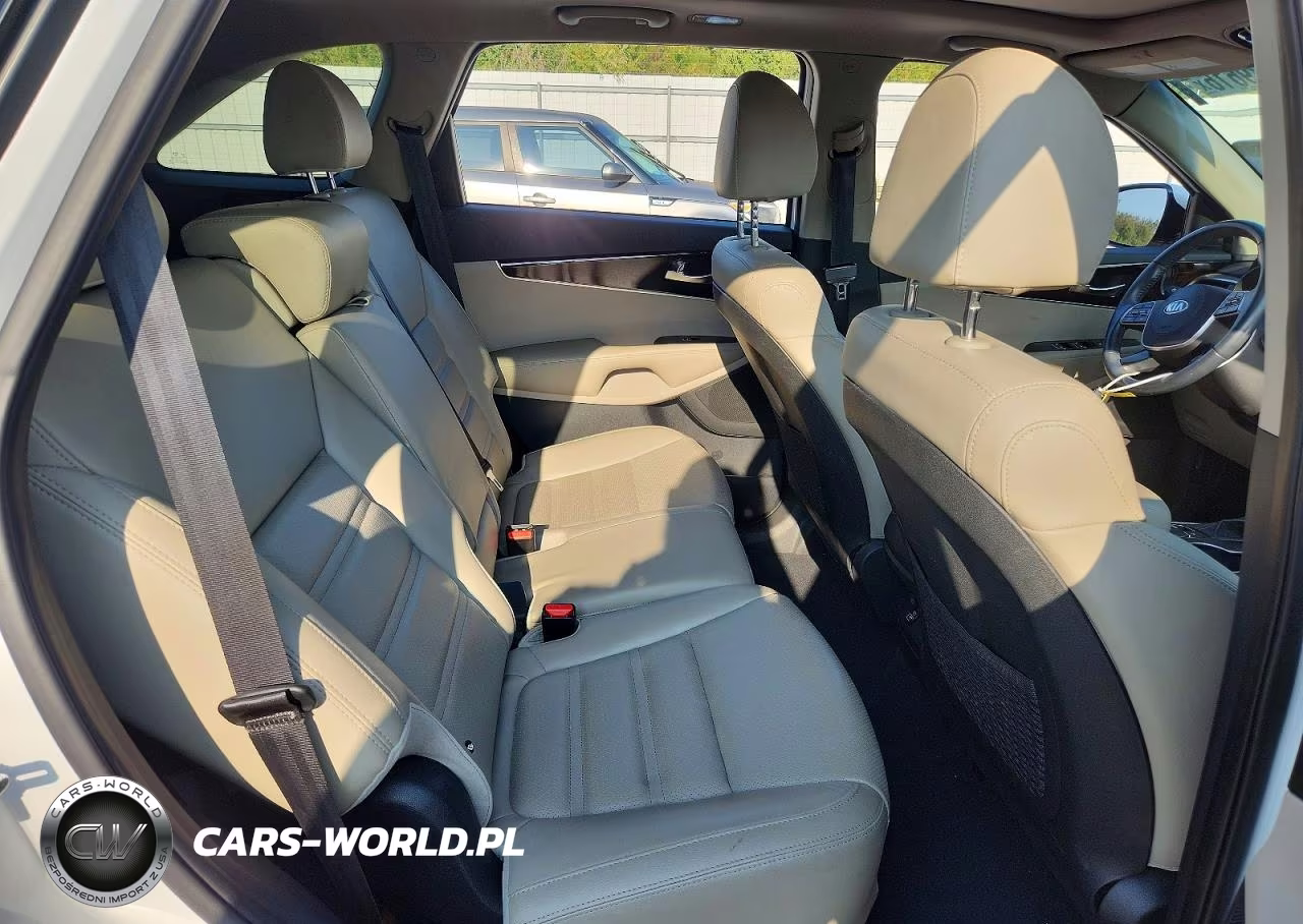 2020 Kia Sorento Ex V6 VIN:5XYPHDA58LG703501 - 11