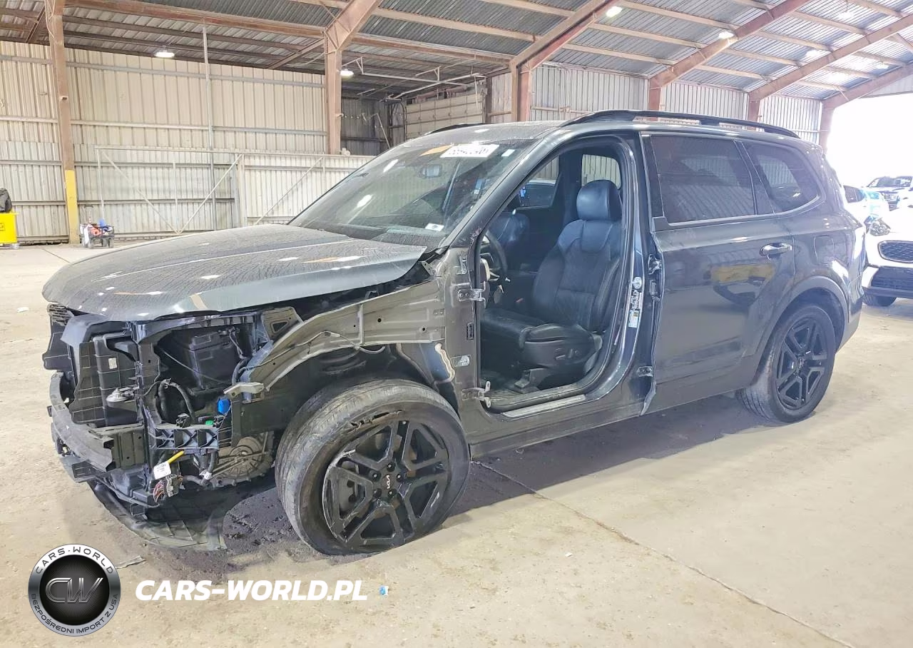 2024 Kia Telluride Sx-Prestige X-Line VIN:5XYP5DGC5RG447065 - 1