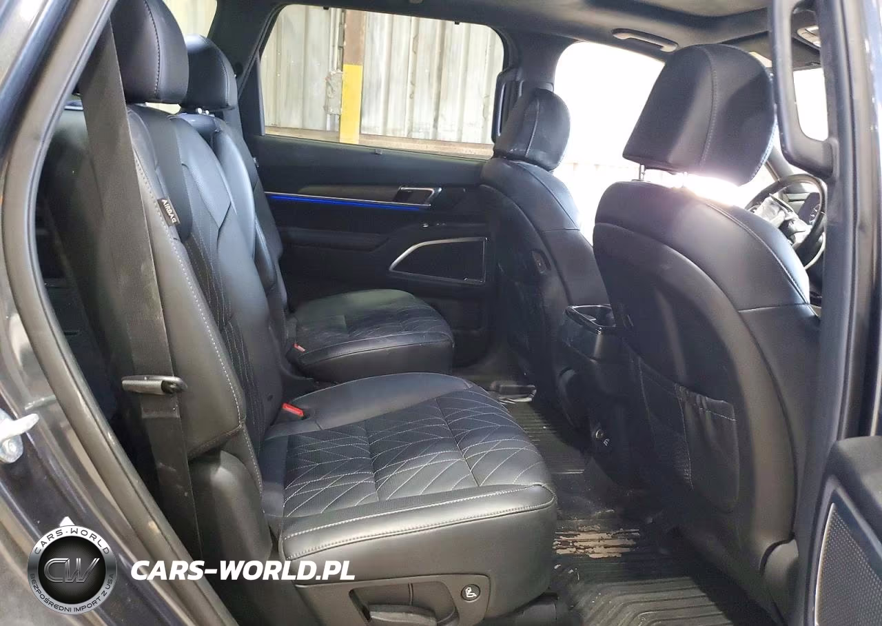 2024 Kia Telluride Sx-Prestige X-Line VIN:5XYP5DGC5RG447065 - 11