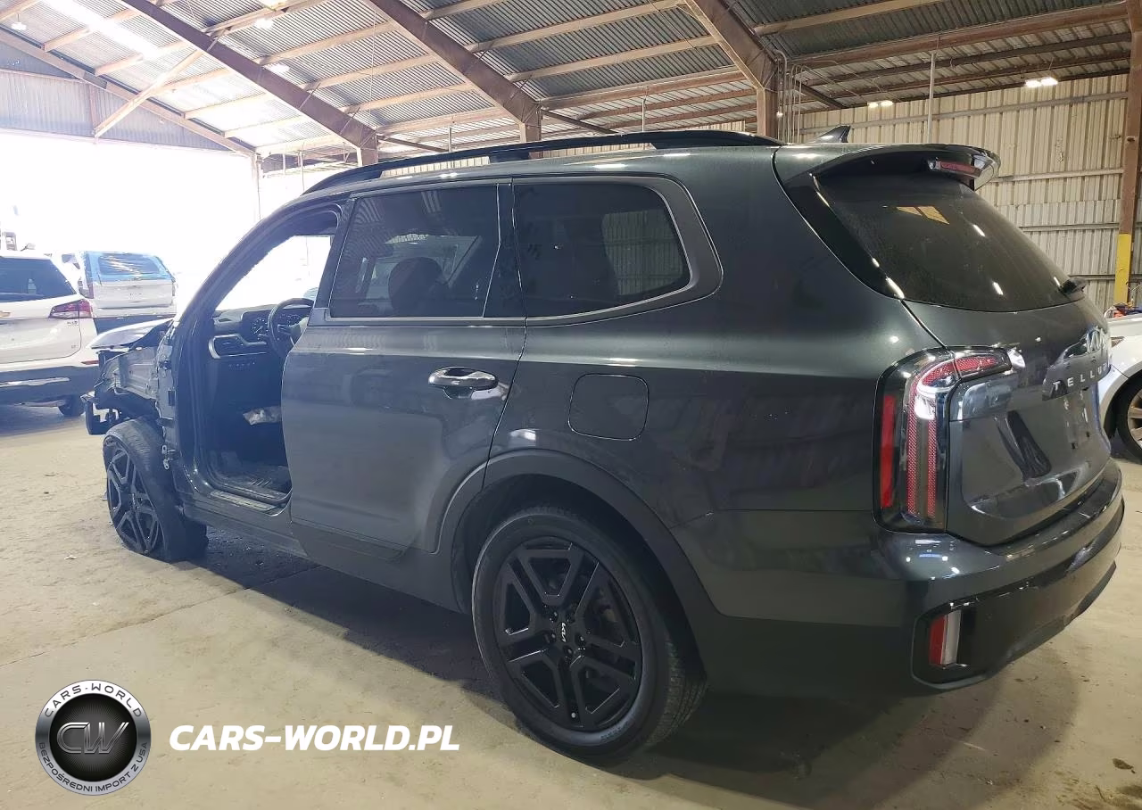 2024 Kia Telluride Sx-Prestige X-Line VIN:5XYP5DGC5RG447065 - 2