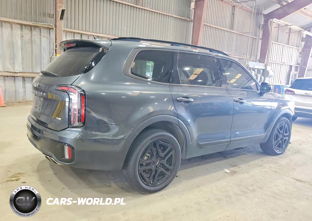 2024 Kia Telluride Sx-Prestige X-Line VIN:5XYP5DGC5RG447065 - 3