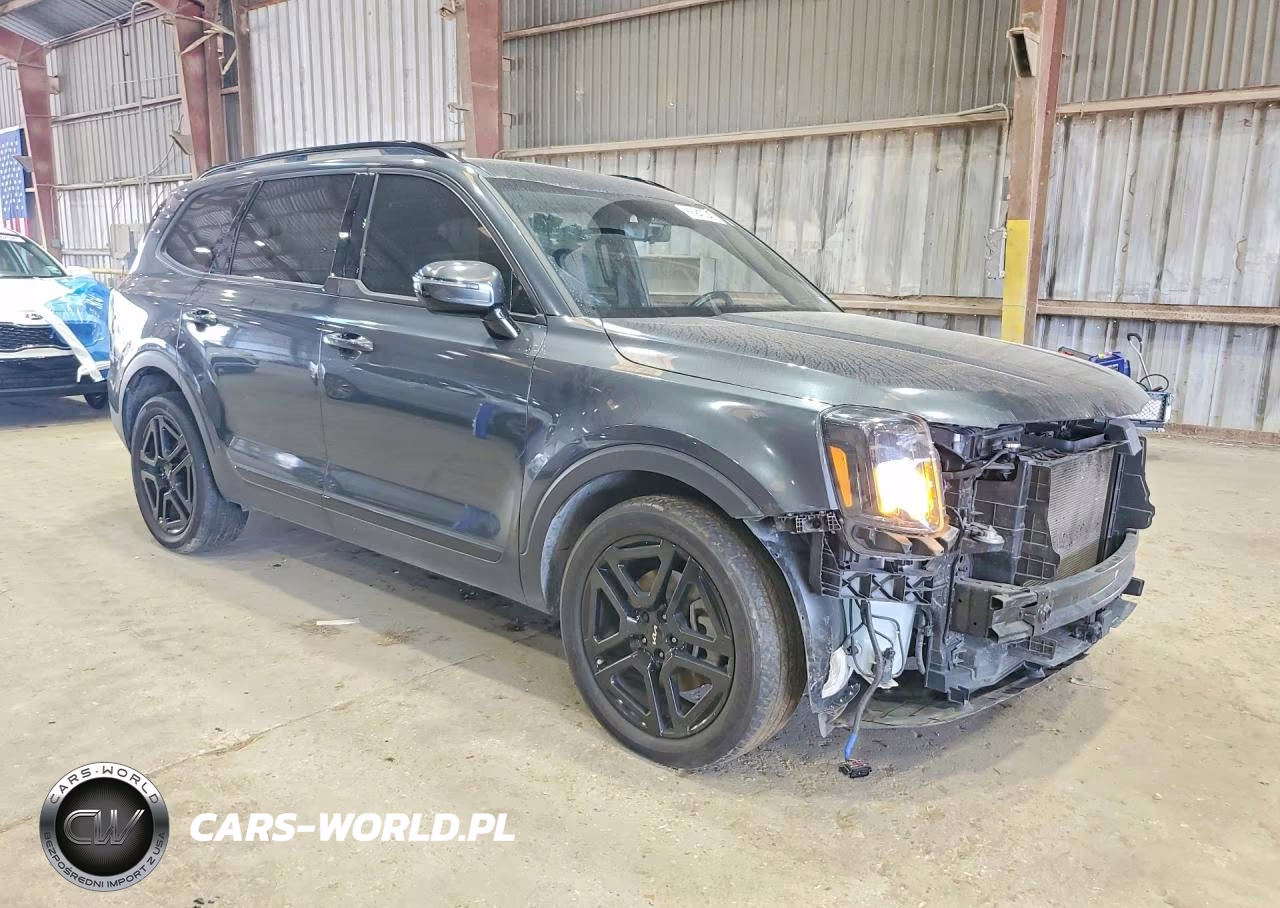 2024 Kia Telluride Sx-Prestige X-Line VIN:5XYP5DGC5RG447065 - 4