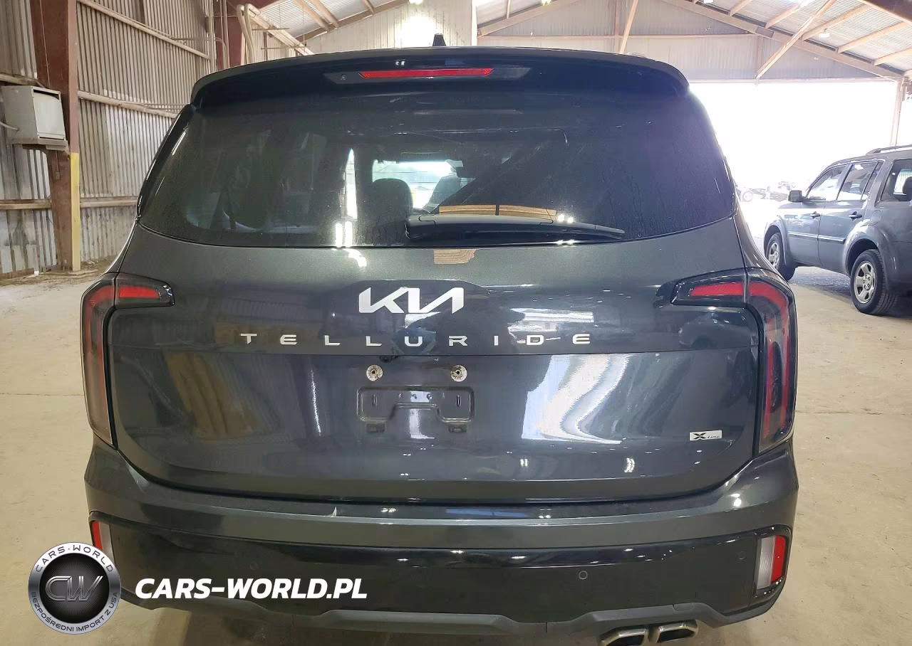 2024 Kia Telluride Sx-Prestige X-Line VIN:5XYP5DGC5RG447065 - 6