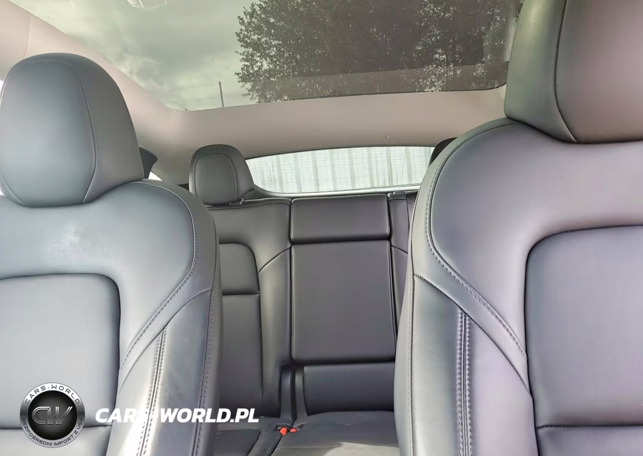 2024 Tesla Model Y VIN:7SAYGAEEXRF982226 - 10