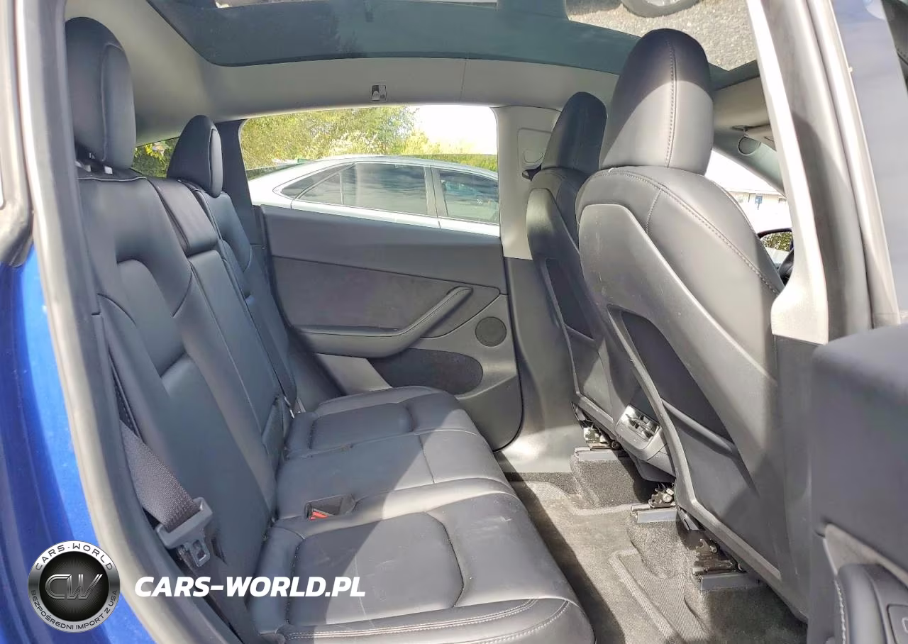 2024 Tesla Model Y VIN:7SAYGAEEXRF982226 - 11