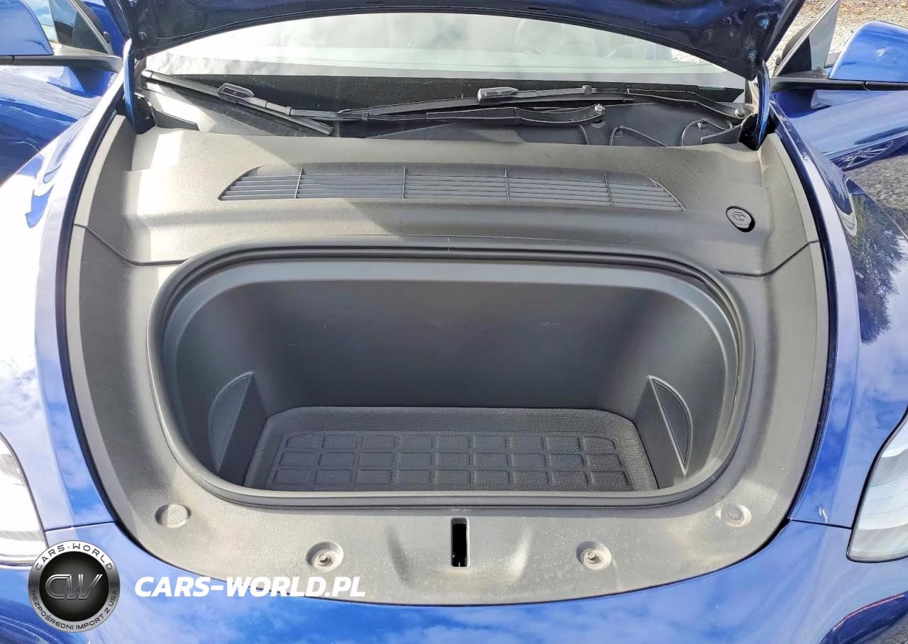 2024 Tesla Model Y VIN:7SAYGAEEXRF982226 - 12