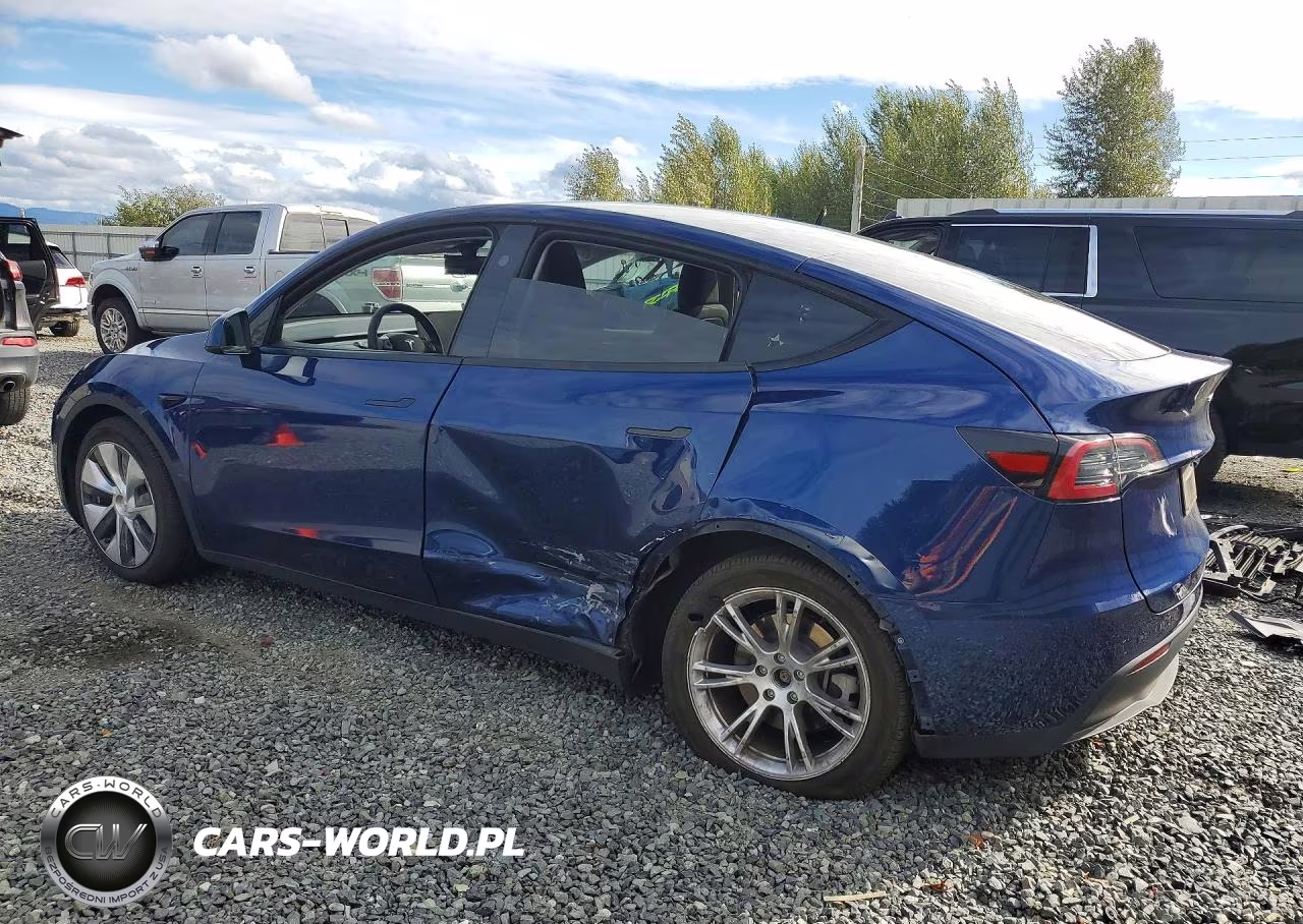 2024 Tesla Model Y VIN:7SAYGAEEXRF982226 - 2