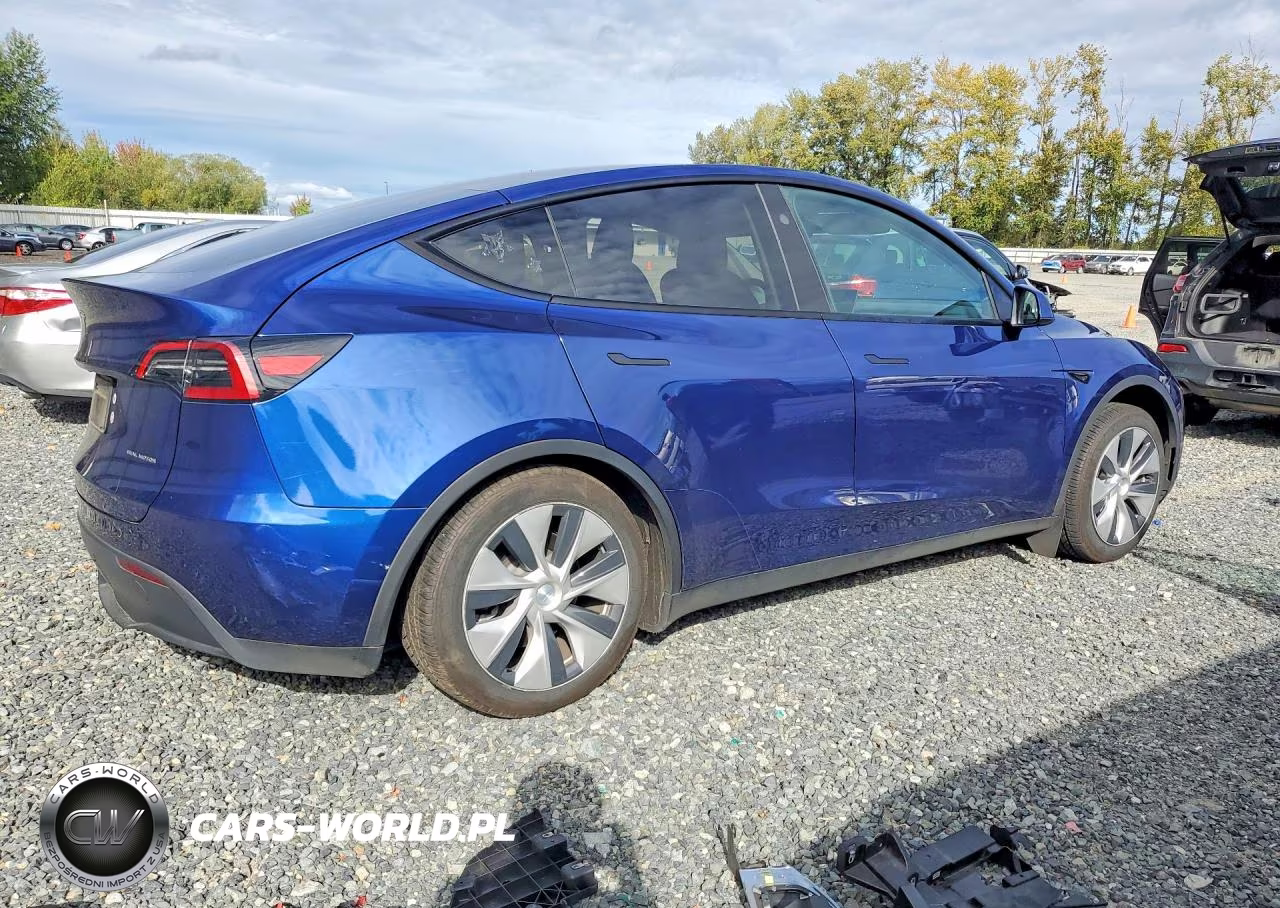 2024 Tesla Model Y VIN:7SAYGAEEXRF982226 - 3