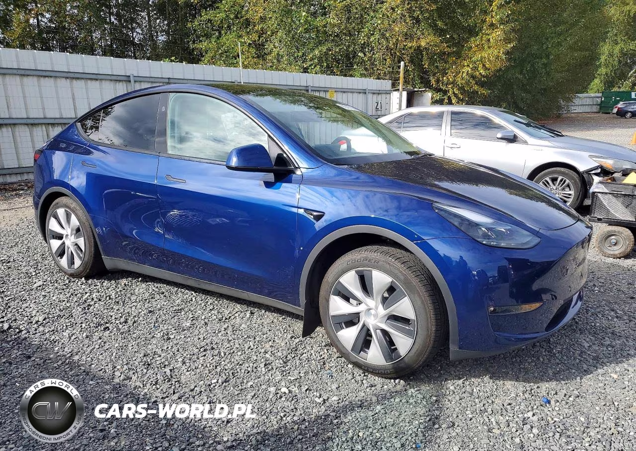 2024 Tesla Model Y VIN:7SAYGAEEXRF982226 - 4