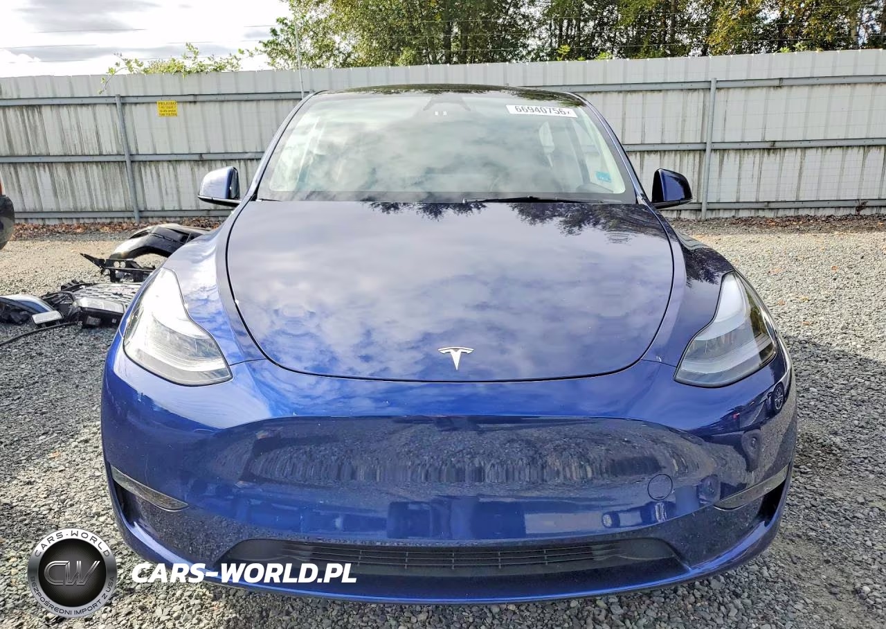 2024 Tesla Model Y VIN:7SAYGAEEXRF982226 - 5