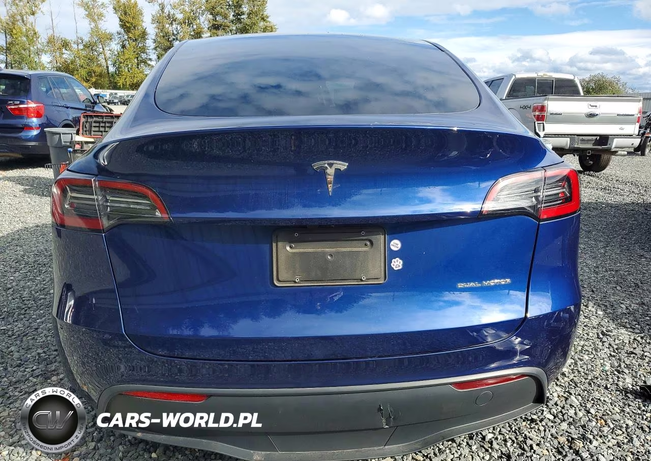 2024 Tesla Model Y VIN:7SAYGAEEXRF982226 - 6