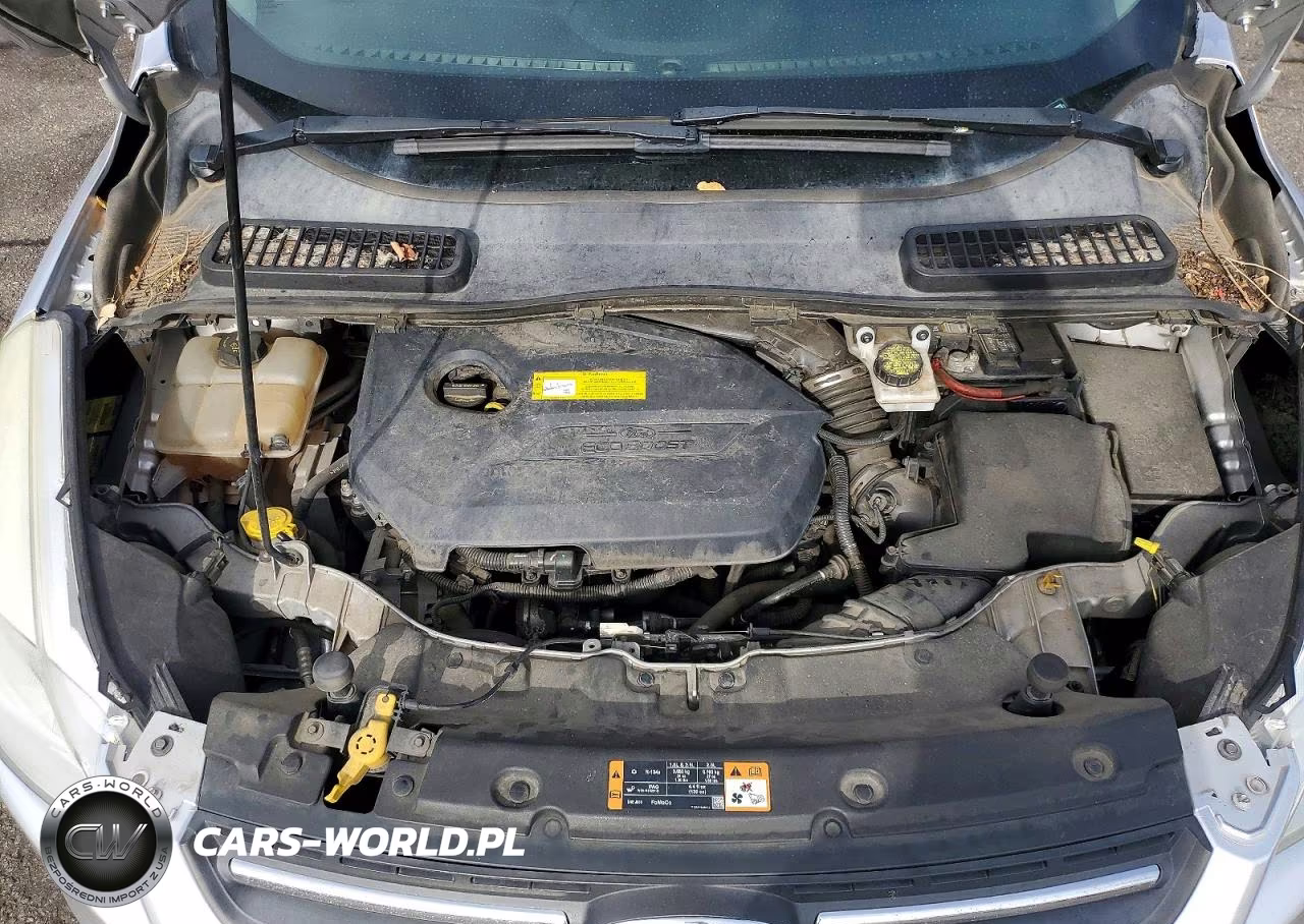 2016 Ford Escape Se VIN:1FMCU9GX9GUB07586 - 12