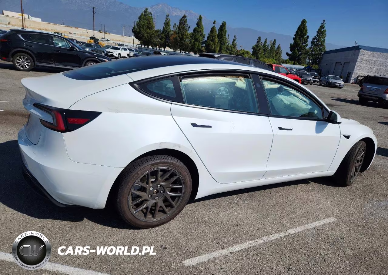 2025 Tesla Model 3 VIN:5YJ3E1EA1SF881642 - 3